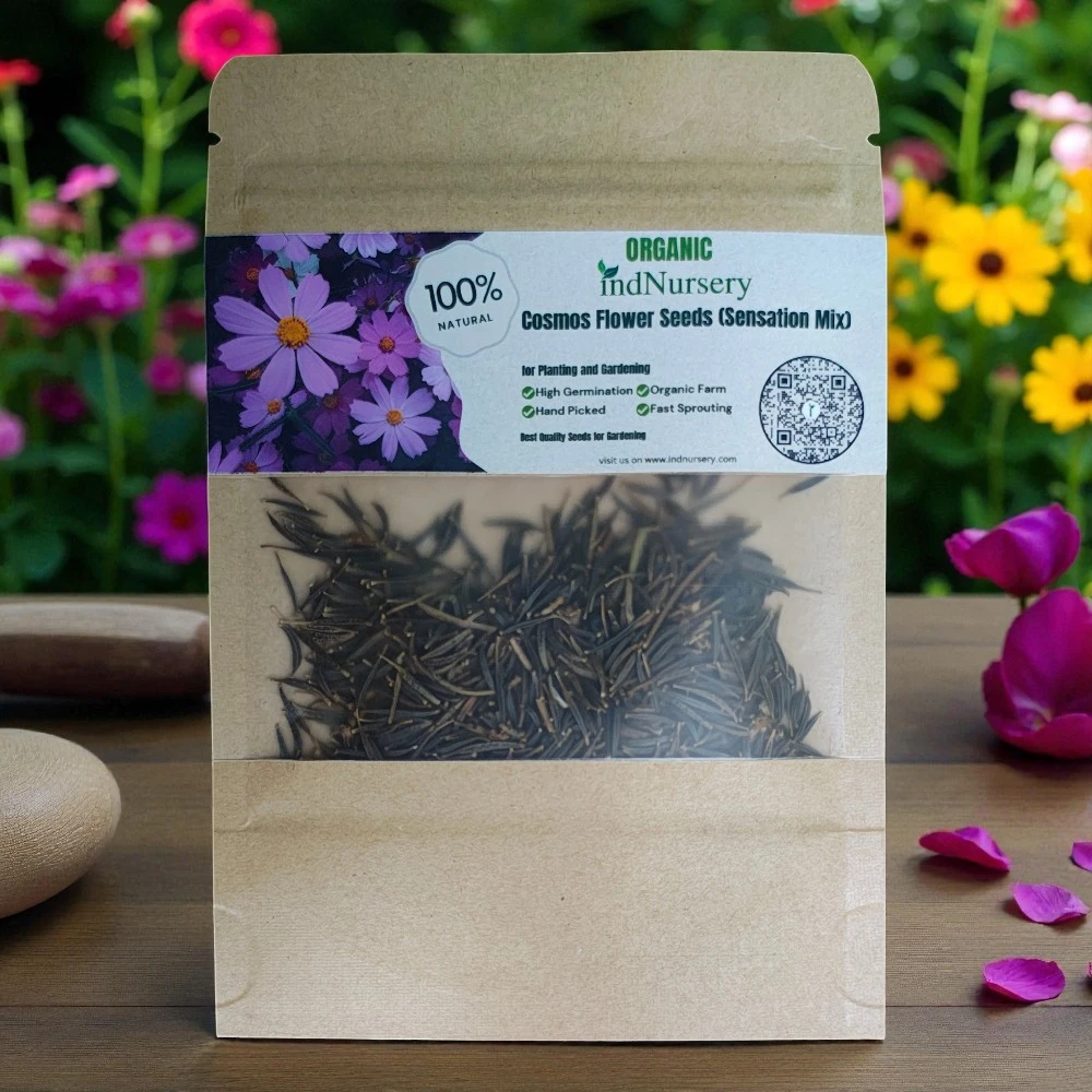 Buy Plant Seeds and Bulbs