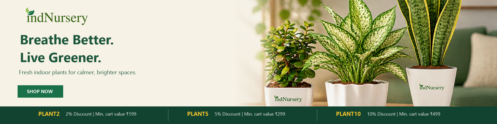 IndNursery Hero Indoor Plants