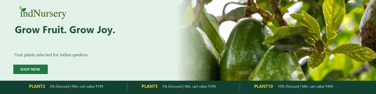 IndNursery Hero Fruit Plants