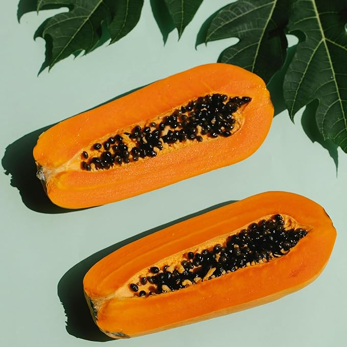 Papaya Seeds for Planting (Yellow, Pack of 5g)