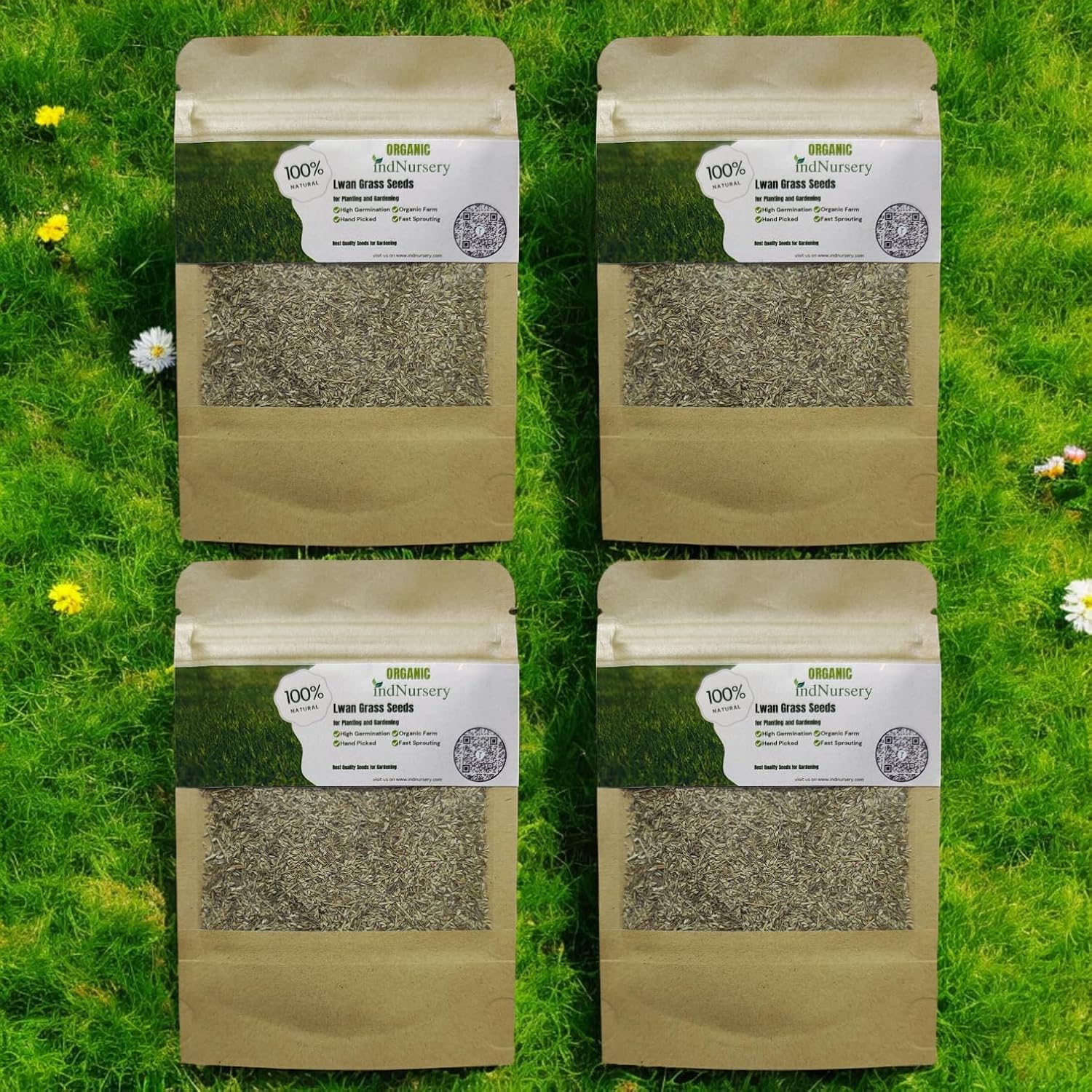 IndNursery Lawn Grass Seeds (Green, Pack of 10 gms) (4 Packet Combo)